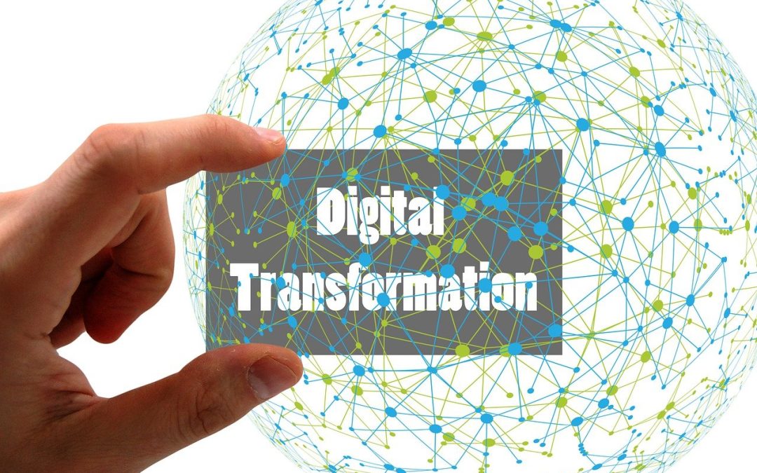 Digitální transformace společnosti PARABEL s.r.o.